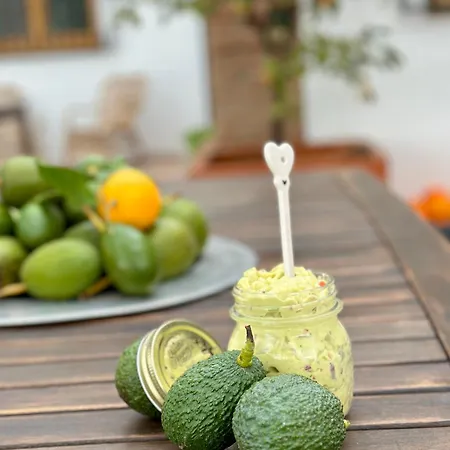 Casa Del Palta לינה וארוחת בוקר Canillas de Albaida