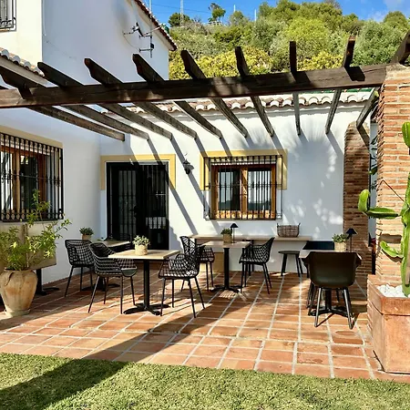 Casa Del Palta Bed & Breakfast Canillas de Albaida