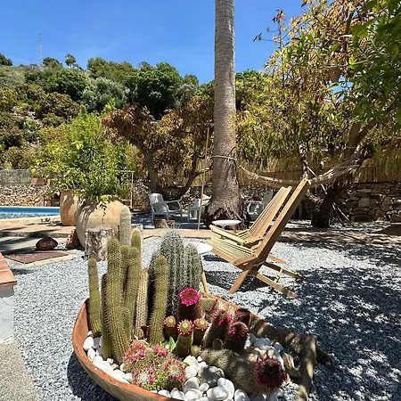 Casa Del Palta Bed & Breakfast *